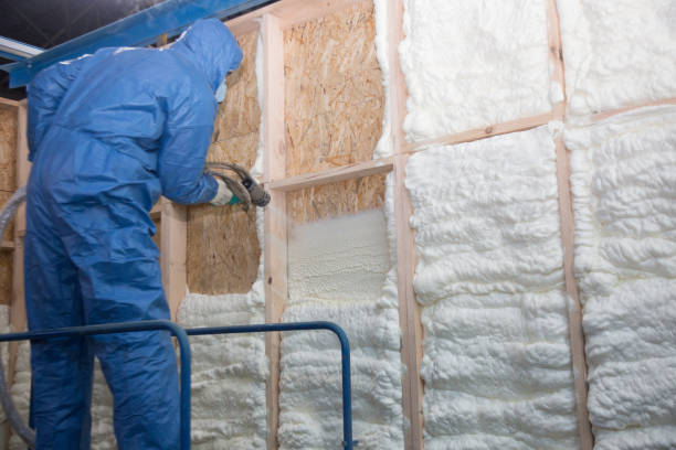 Types of Insulation We Offer in Hayden, AL